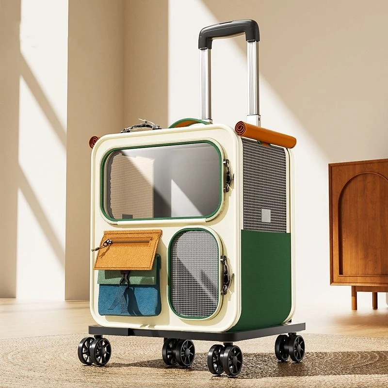 s87fc396fb544453bb55bc7f18e48bbbad 1.webp s87fc396fb544453bb55bc7f18e48bbbad 1.webp
